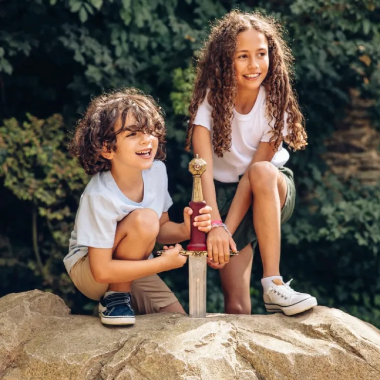 Des enfants essayant de retirer l'épée du Roi Arthur du rocher