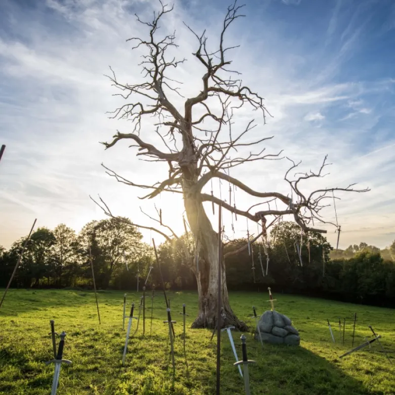 Arbre avec excalibur