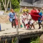 Les Vikings