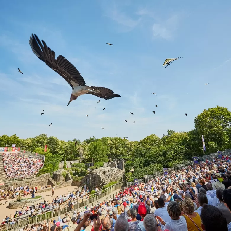 Elu « Meilleur Parc du Monde » à deux reprises 