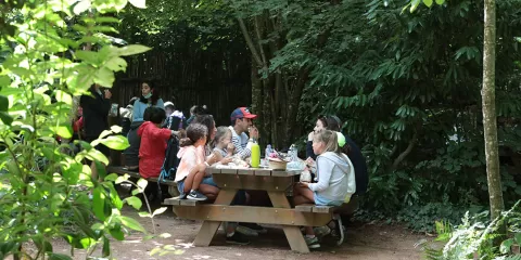 Famille en plein pique-nique sur une aire de pique-nique au Puy du Fou