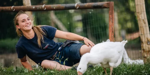 Soigneur-animalier du Puy du Fou et des oies blanches du Poitou