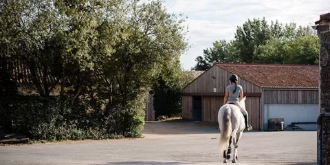 Cheval et sa cavalière devant les écuries Bonchamps au Puy du Fou.