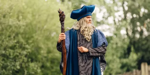 Merlin l'enchanteur dans la nature avec sa canne