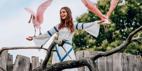 Aliénor dans le bal des oiseaux fantômes