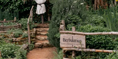 Herbularius au Puy du Fou