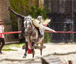 cavalier voltigeur puy du fou