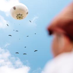 bal des oiseaux fantômes