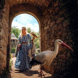 bal des oiseaux fantômes