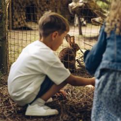 Un enfant regarde les lapins dans le spectacle nature "Le Monde Imaginaire de la Fontaine"