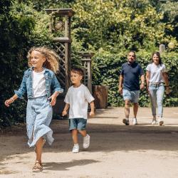 Le Labyrinthe des Animaux