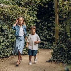 Le Labyrinthe des Animaux