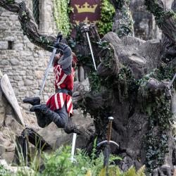 Le Roi Arthur combattant