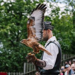bal des oiseaux fantômes