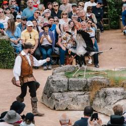 Le fauconnier du spectacle "Le Bal des Oiseaux Fantômes" joue avec le serpentaire.