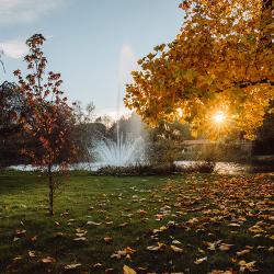 Frairie de la toussaint_nature parc automne crépuscule