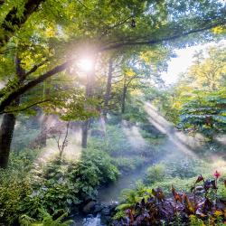 Le "Val de la Marienne" au cœur de la nature du Puy du Fou.