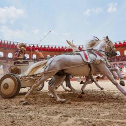 Le quadrige blanc lors de la course de chars du spectacle "Le Signe du Triomphe"