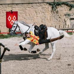 Le Secret de la Lance