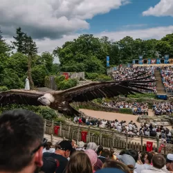 Un vautour survole le public de près dans le spectacle "Le Bal des Oiseaux Fantômes"